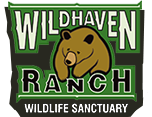 Wildhaven Ranch Wildlife Sanctuary