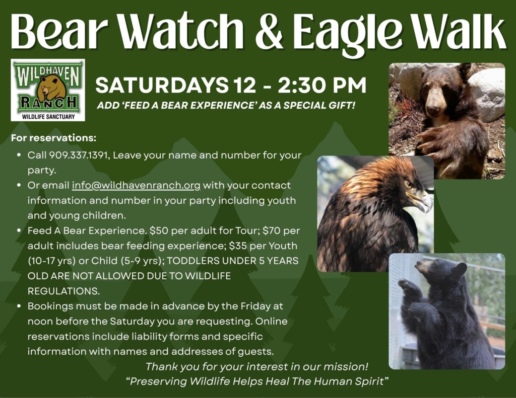 Bear Watch and Eagle Walk Program